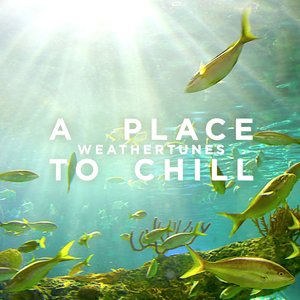 A Place to Chill