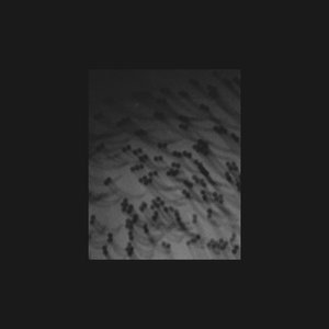 Image for 'MONOAkuma'