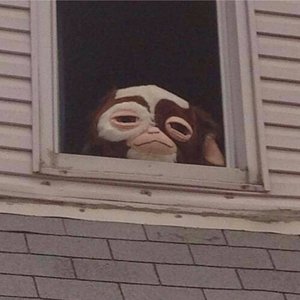 A Collection of Songs Written by a Schizophrenic Man As He Descends Into Total Loss
