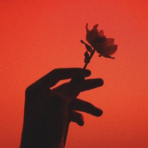 Like the First Time - Single