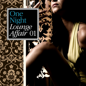 DJ Jerry - One Night Lounge Affair, Vol. 01 - Zortam Music
