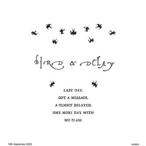 bird and delay