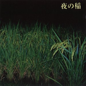 RIce Field Silently Riping In The Night