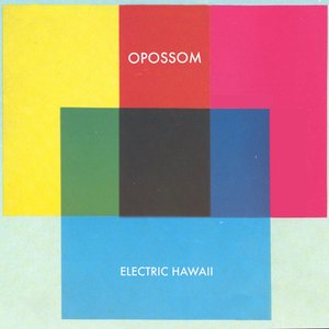 ELECTRIC HAWAII