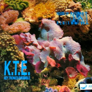 Key Tronics Ensemble photo provided by Last.fm