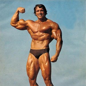 Immagine per 'Arnold Schwarzenegger'