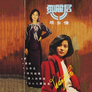 邓丽君故乡情