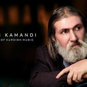 Abbas Kamandi 的头像