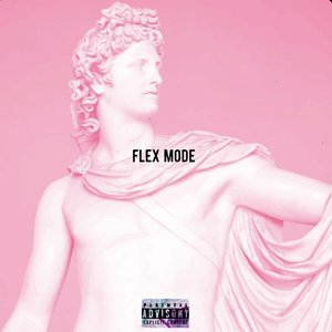 Flex Mode