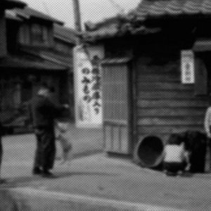 the still life of reverie