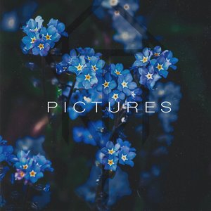 Pictures - Single