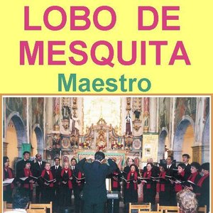 Awatar dla Lobo de Mesquita