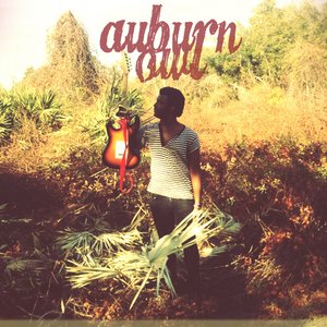 Auburn Owl 的头像