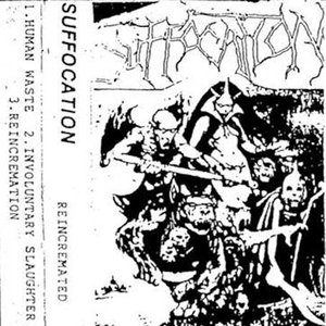 Image for 'Reincremation'