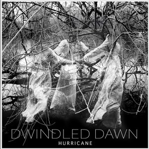 'Dwindled Dawn' için resim