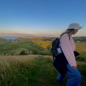 Something About The Wind