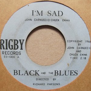 Black & The Blues 的头像