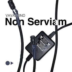 Non Serviam