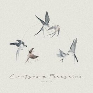 Cantigas de Peregrino
