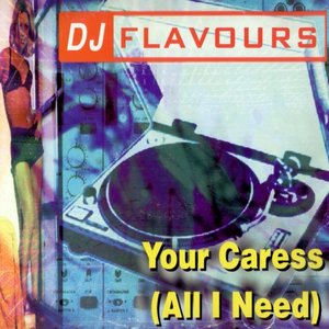 Аватар для DJ Flavours