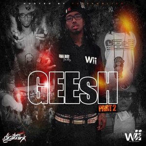 GEEsH 2