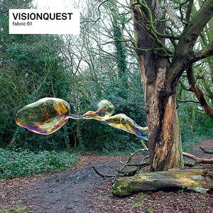 Fabric 61: Visionquest