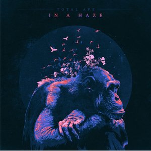 In a Haze [Explicit]