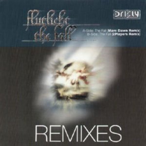 The Fall (Remixes)