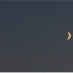Moon Boletus 的头像