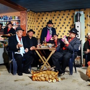 Adrian Raso & Fanfare Ciocarlia 的头像