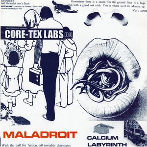 Core-Tex Labs, Vol. 15 (Calcium Labyrinth)
