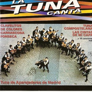 Tuna De Aparejadores De Madrid 的头像