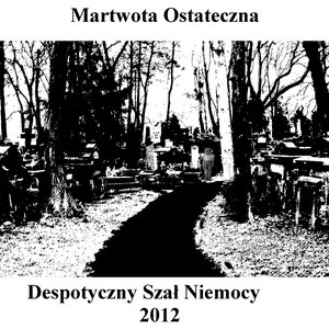 Image for 'Despotyczny Szał Niemocy'