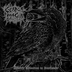 Morbid Affection to Darkness