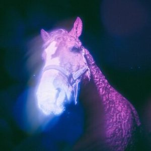 Wishful Thinking - Single