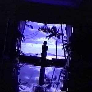 024: 海洋生物