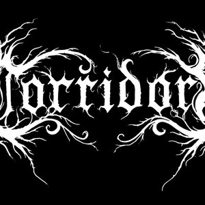 Corridoré 的头像