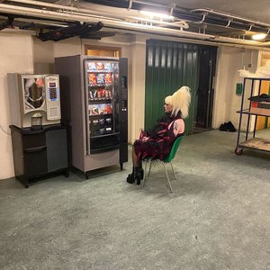 THE LIFE OF A SHOWGIRL 的头像
