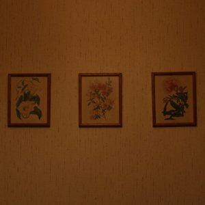 “Singles”的封面