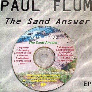 Bild för 'The Sand Answer'