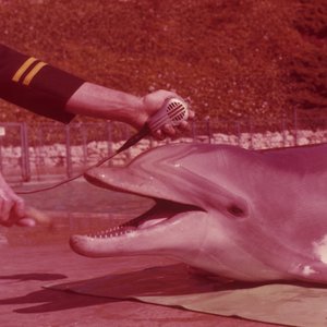 The Hi-Lonesome Conifers / Asparatus Court Garden Loop