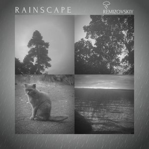 Rainscape