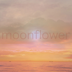 Artwork for Solstice Song (Meditation)
