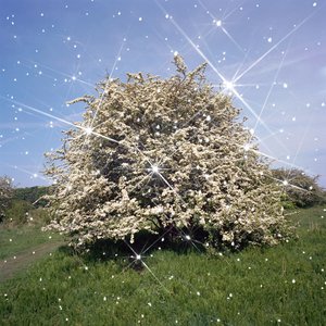 Volume - Single