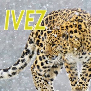 Avatar for IVEZ