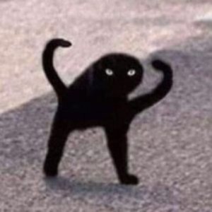 wickrboy 的头像