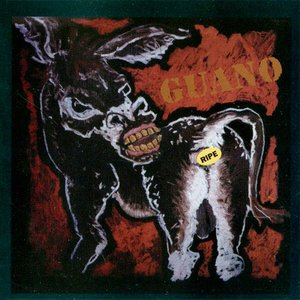 eye of the donkey