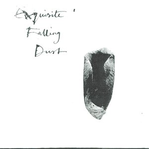 Exquisite Falling Dust