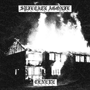 CENERE