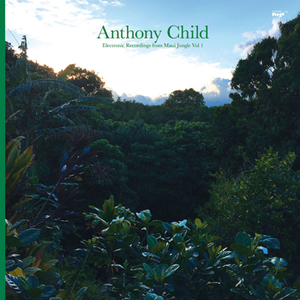 Electronic Recordings From Maui Jungle, Volume 1 cover